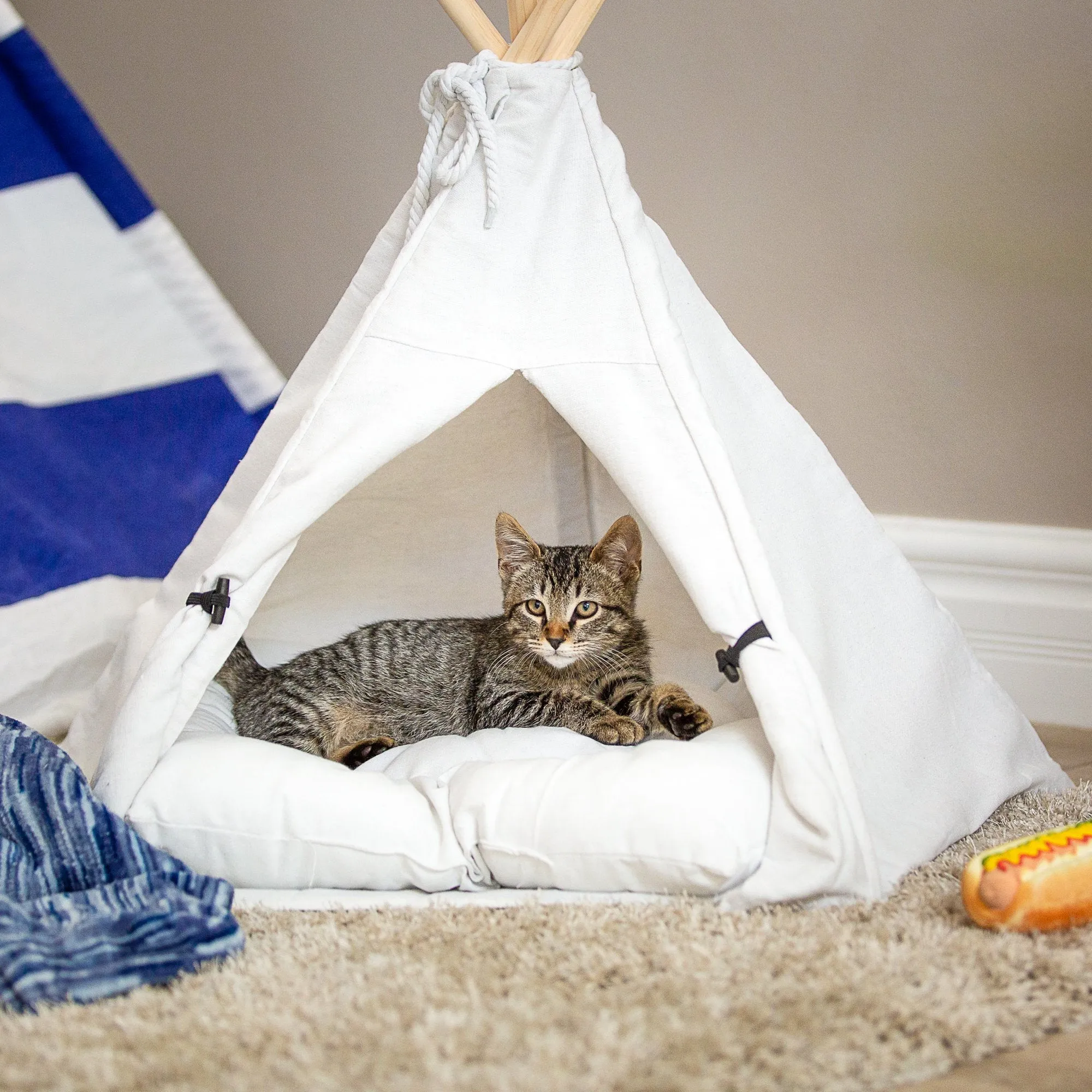 24in Pet Teepee w/ Cushion