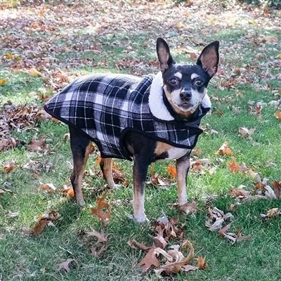 Alpine Jacket in Navy Plaid