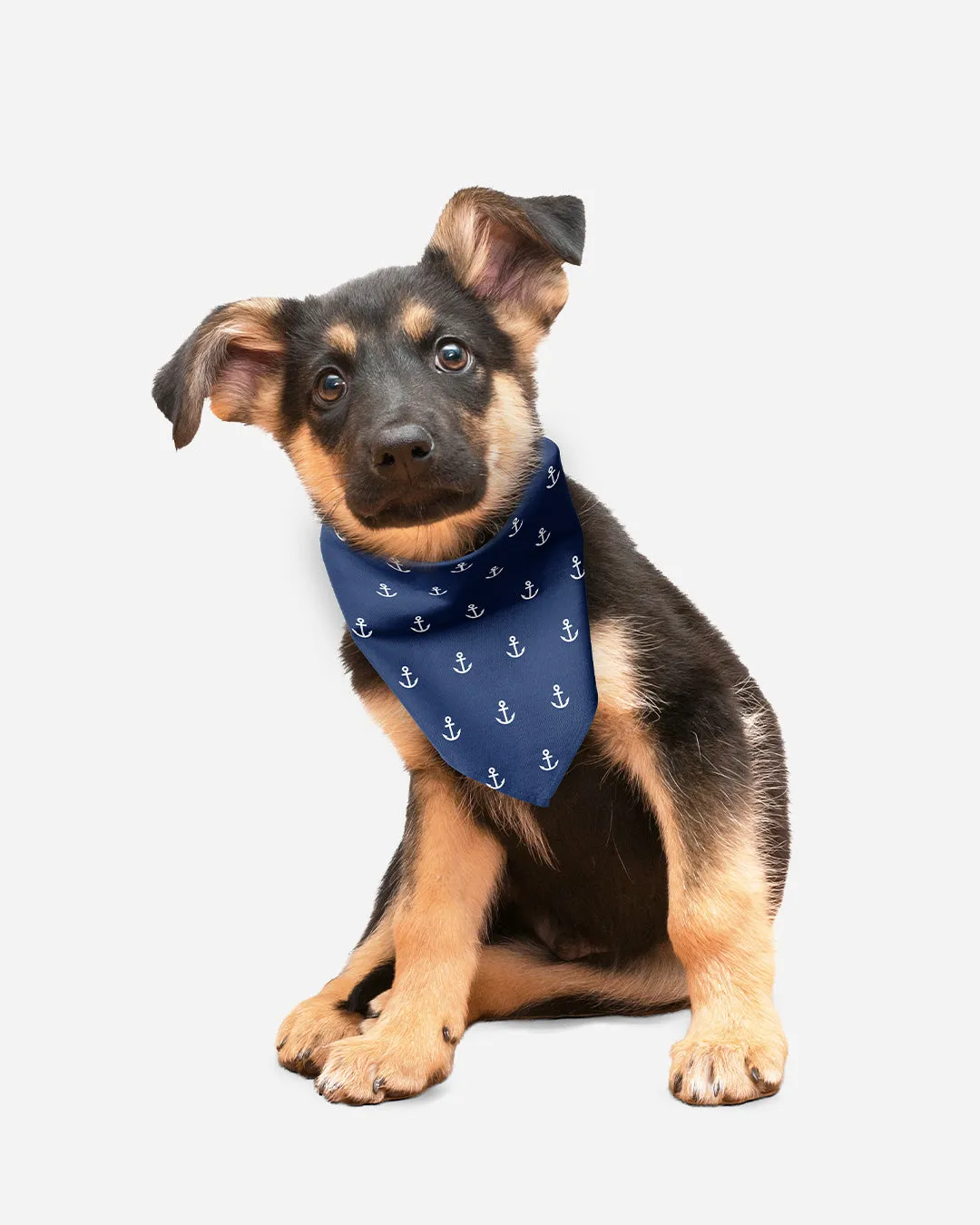 [Clearance] Roly Pawly Pet Bandana Scarf