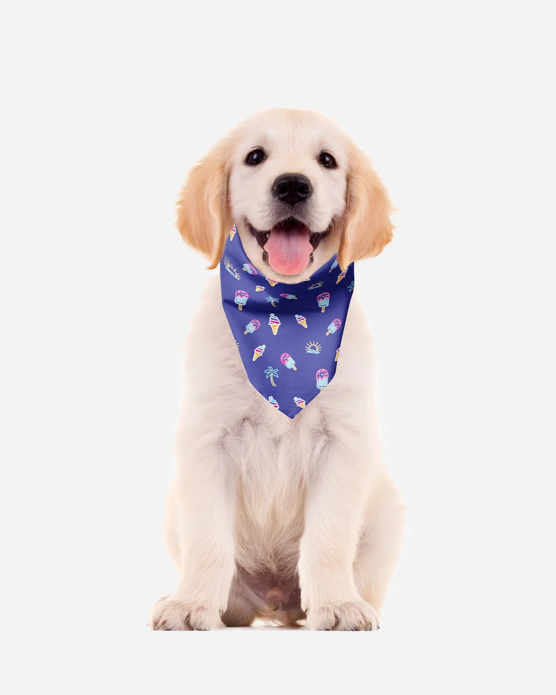 [Clearance] Roly Pawly Pet Bandana Scarf