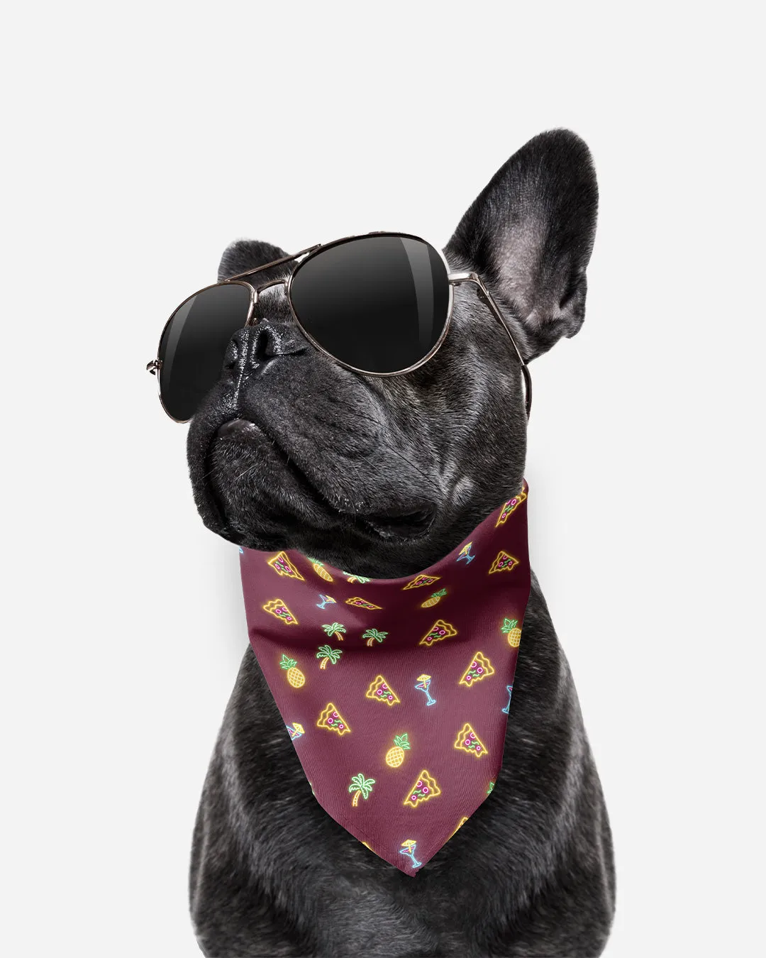 [Clearance] Roly Pawly Pet Bandana Scarf