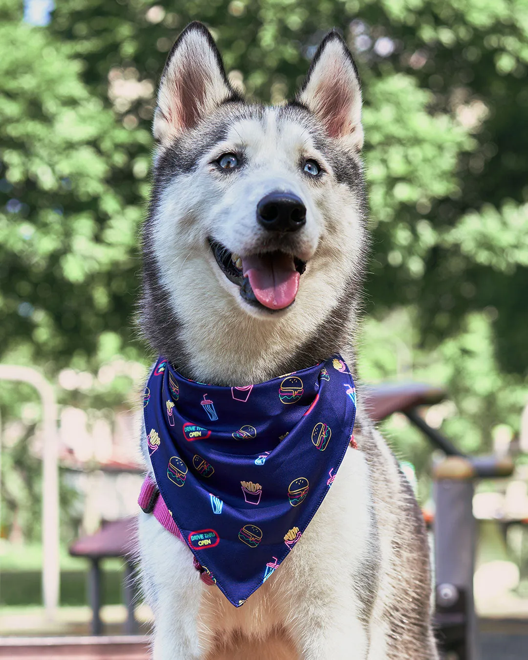 [Clearance] Roly Pawly Pet Bandana Scarf