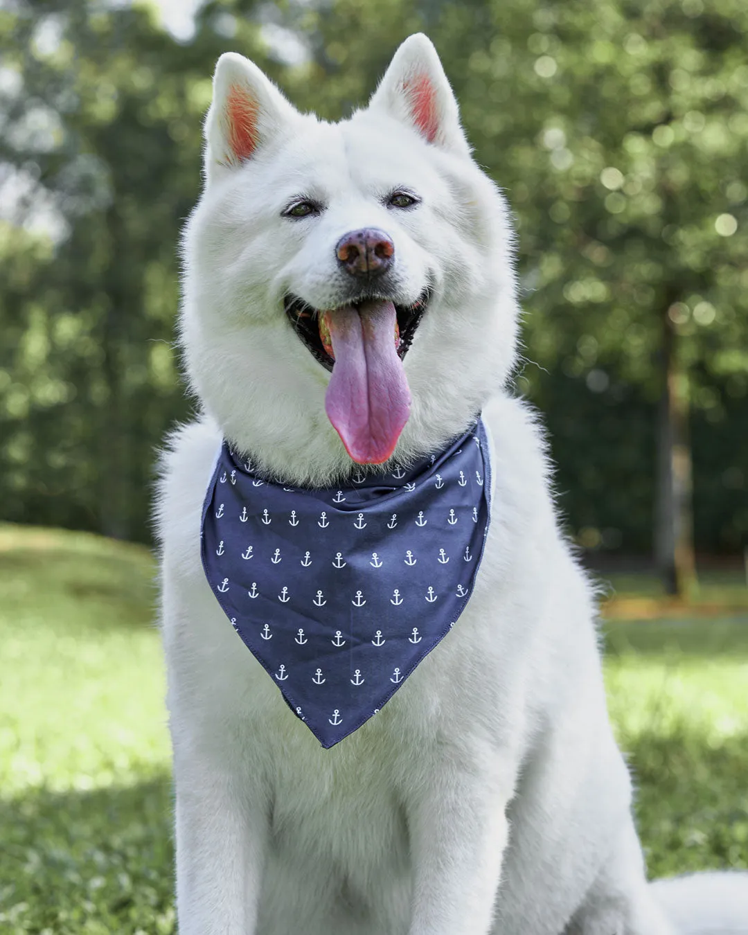 [Clearance] Roly Pawly Pet Bandana Scarf