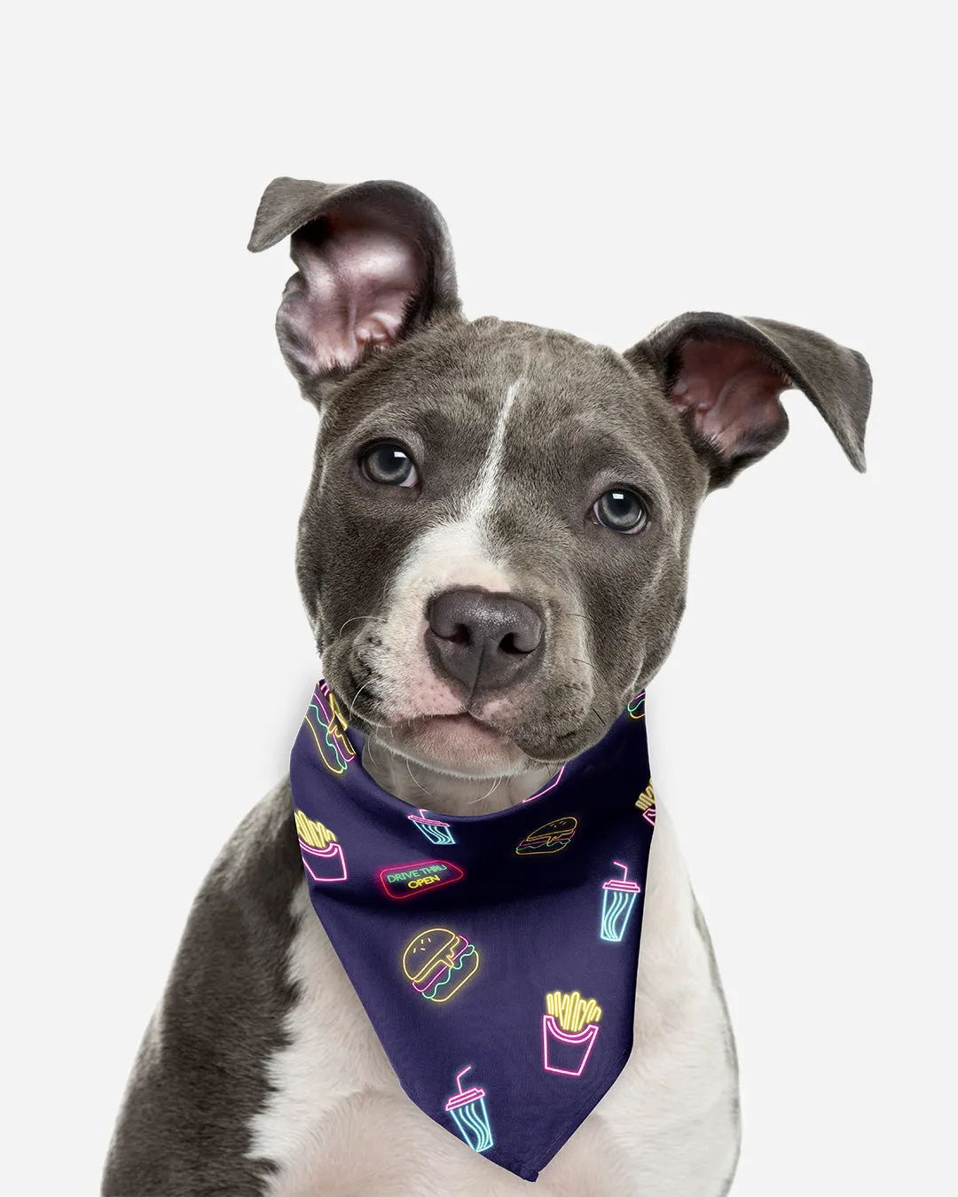 [Clearance] Roly Pawly Pet Bandana Scarf