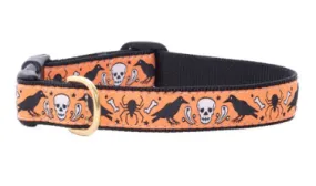 Nevermore Dog Collar