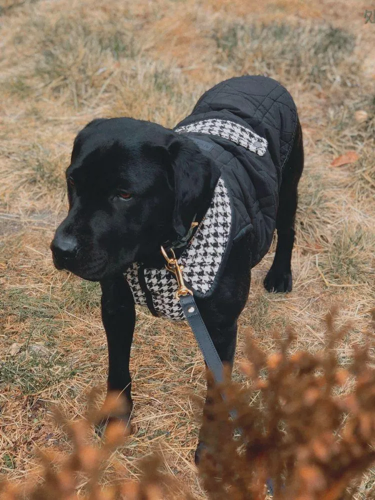 Soho Tweed Padded Vest