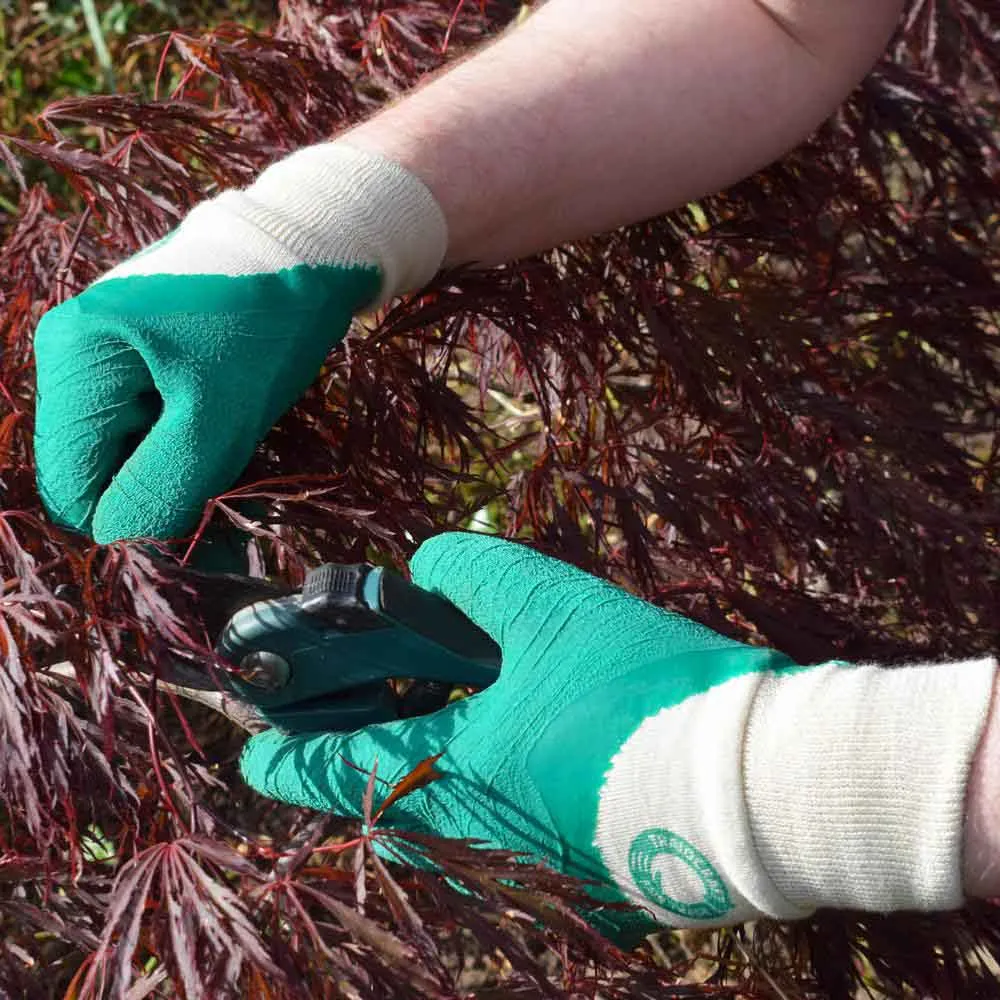 Traidcraft Rubber Gardening Gloves