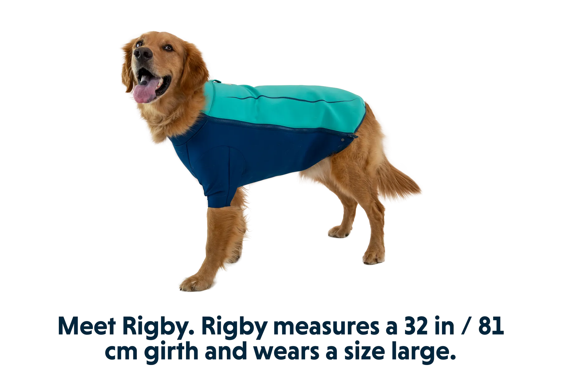 Undercoat™ Dog Water Jacket