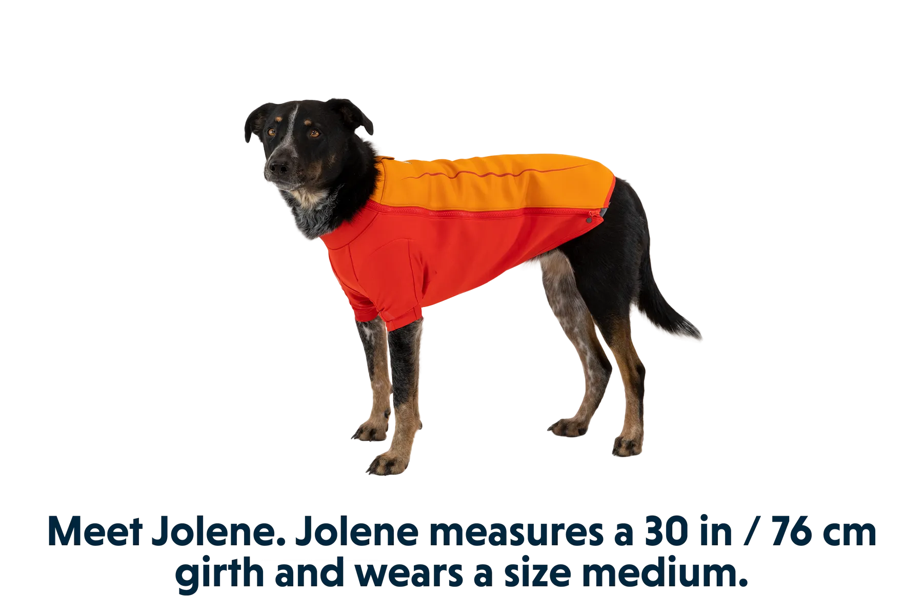 Undercoat™ Dog Water Jacket